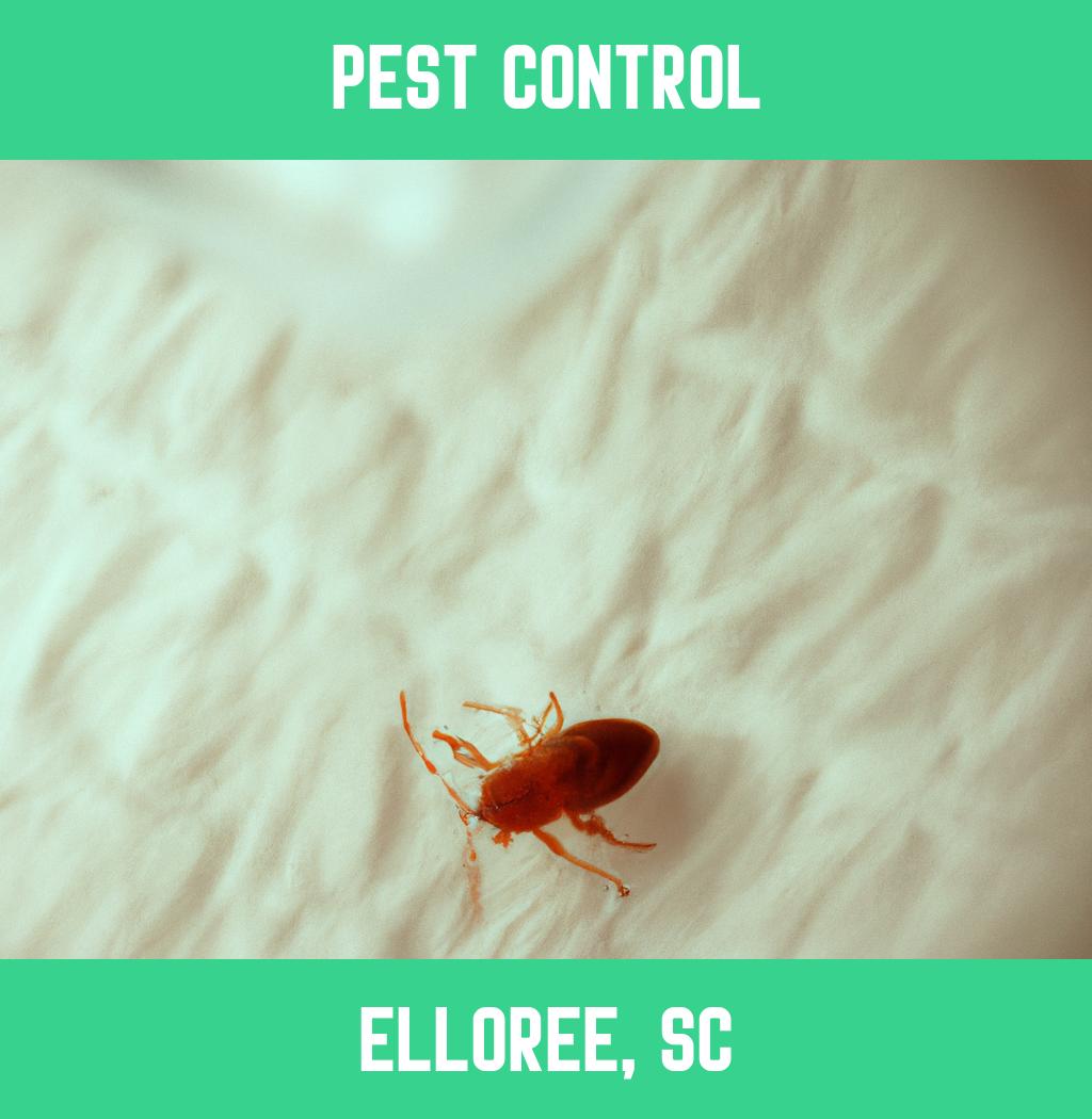 pest control in Elloree South Carolina