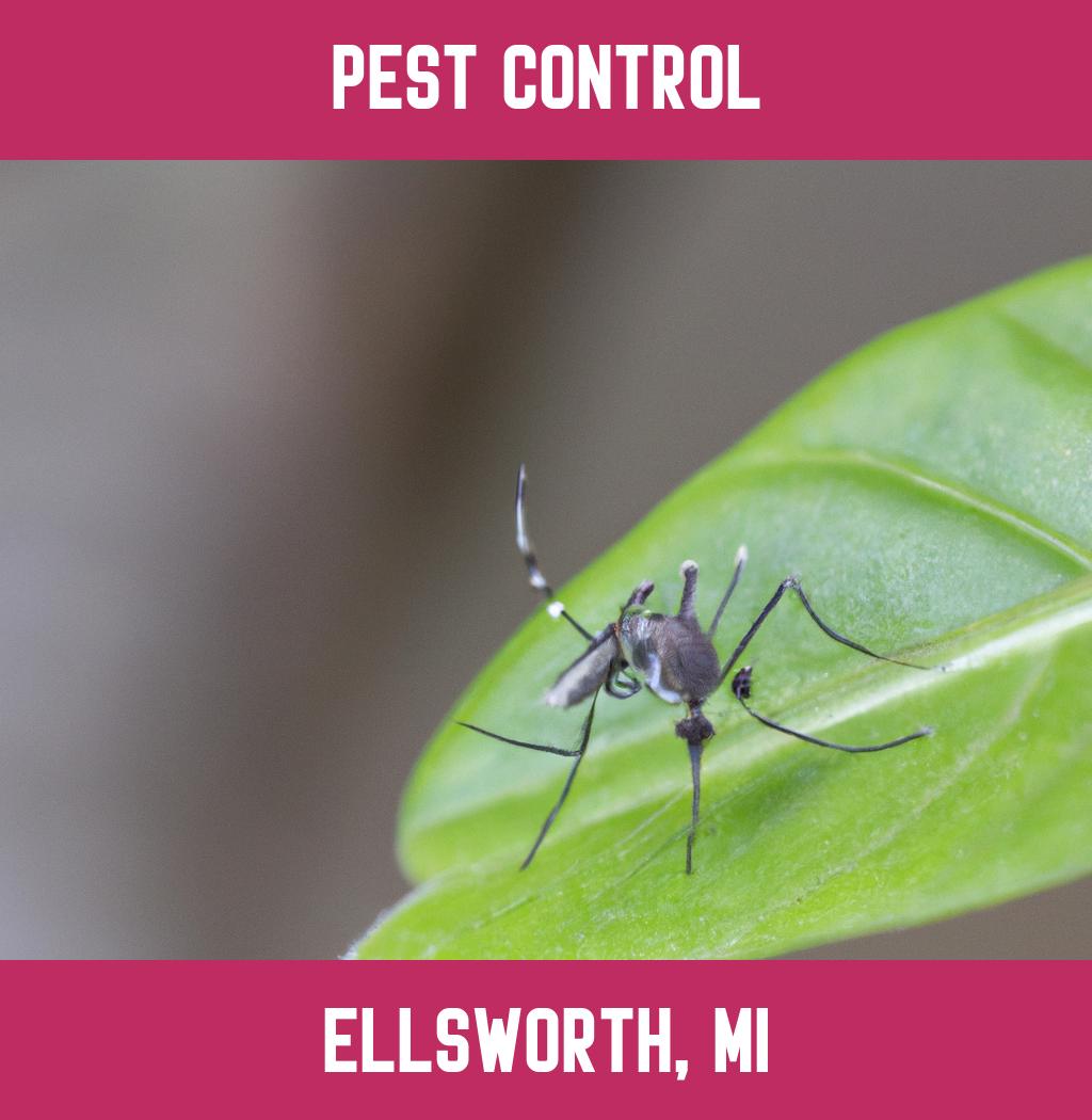 pest control in Ellsworth Michigan