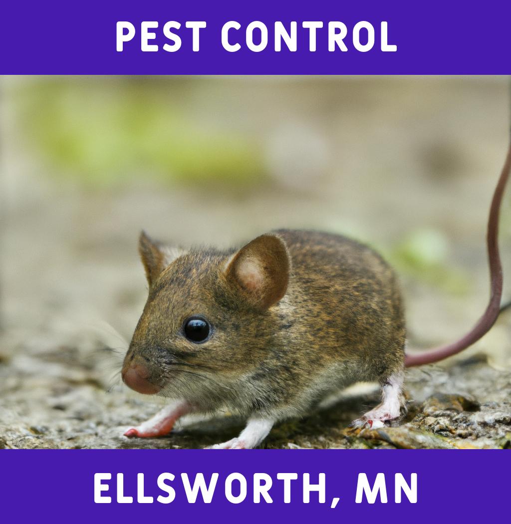 pest control in Ellsworth Minnesota