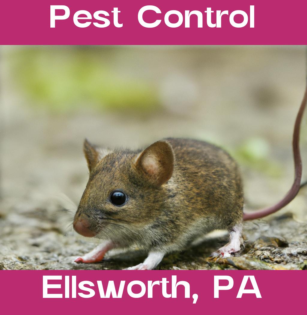 pest control in Ellsworth Pennsylvania