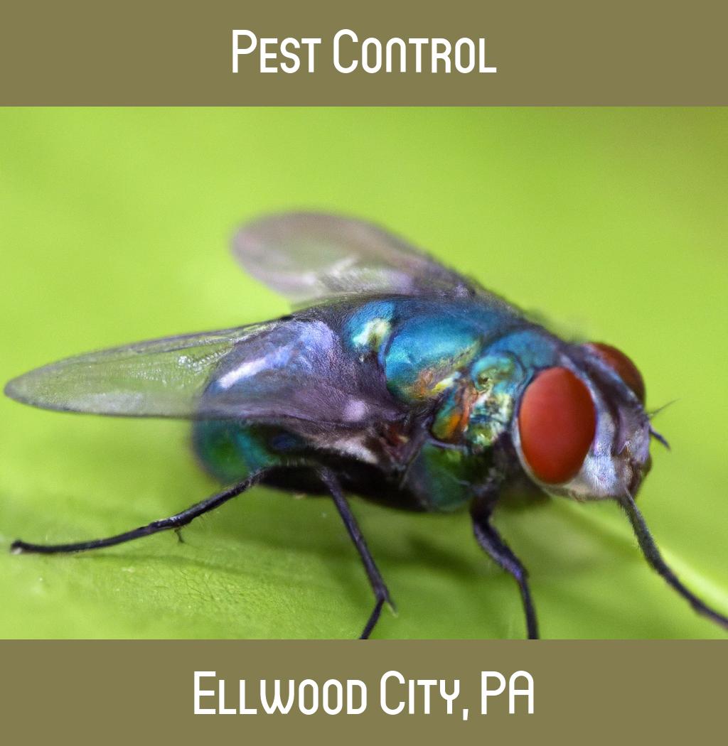 pest control in Ellwood City Pennsylvania