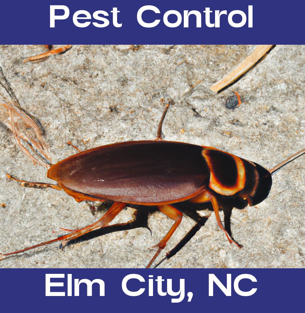 pest control in Elm City North Carolina