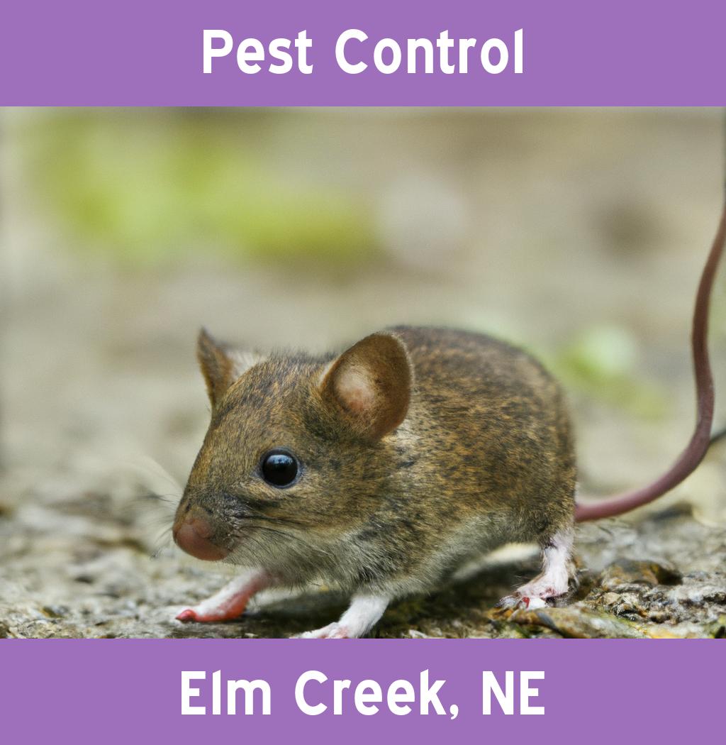 pest control in Elm Creek Nebraska