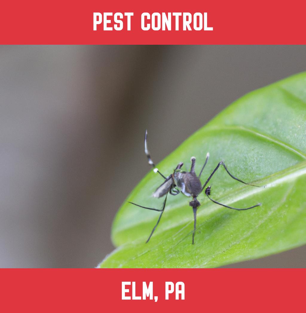 pest control in Elm Pennsylvania