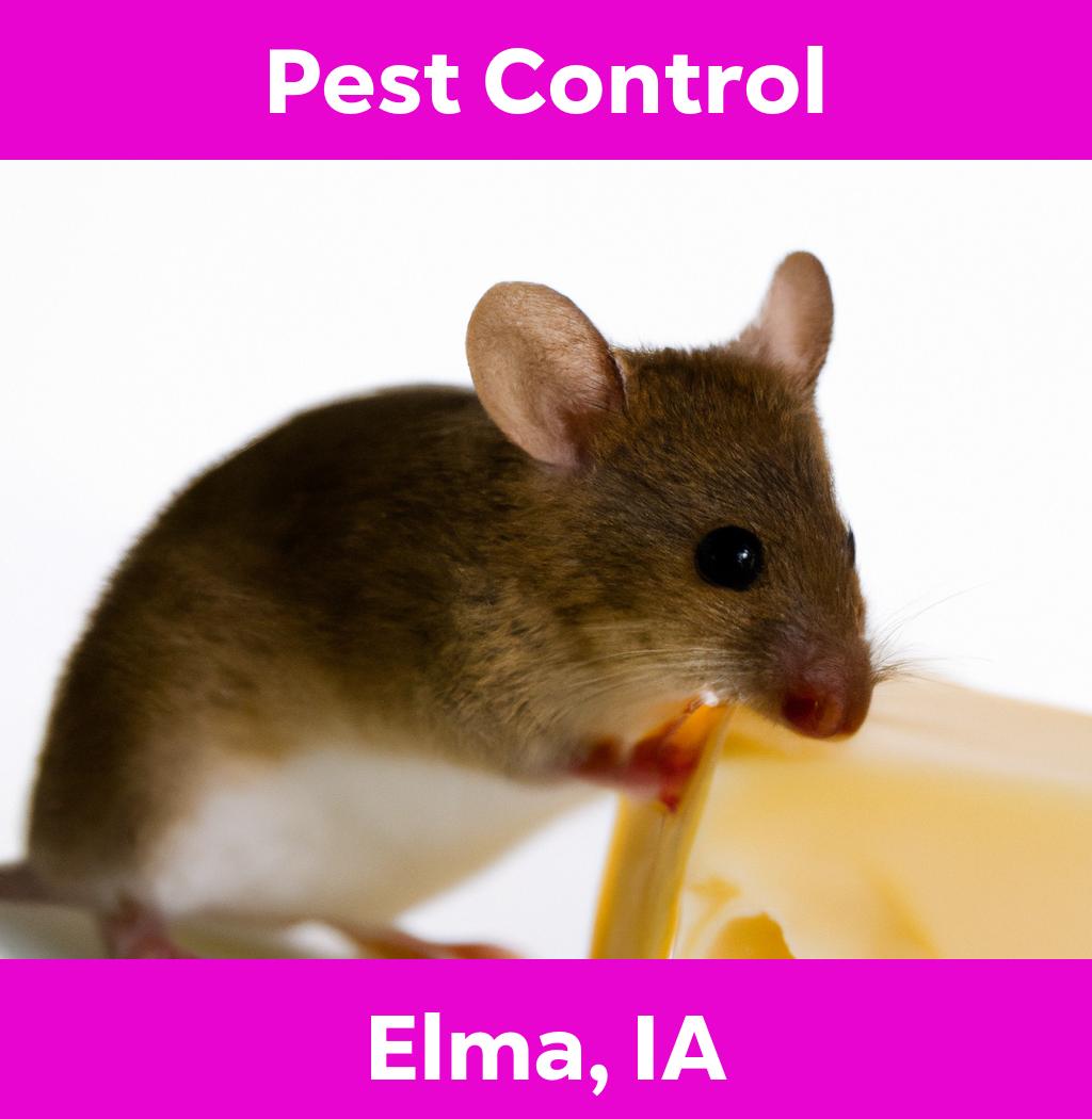 pest control in Elma Iowa