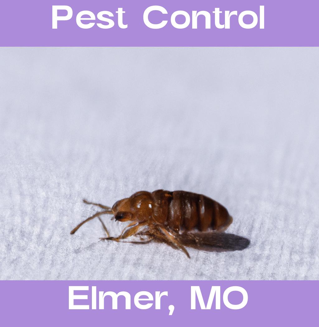 pest control in Elmer Missouri
