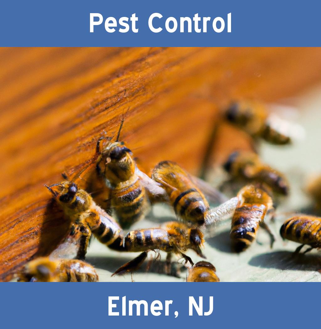 pest control in Elmer New Jersey