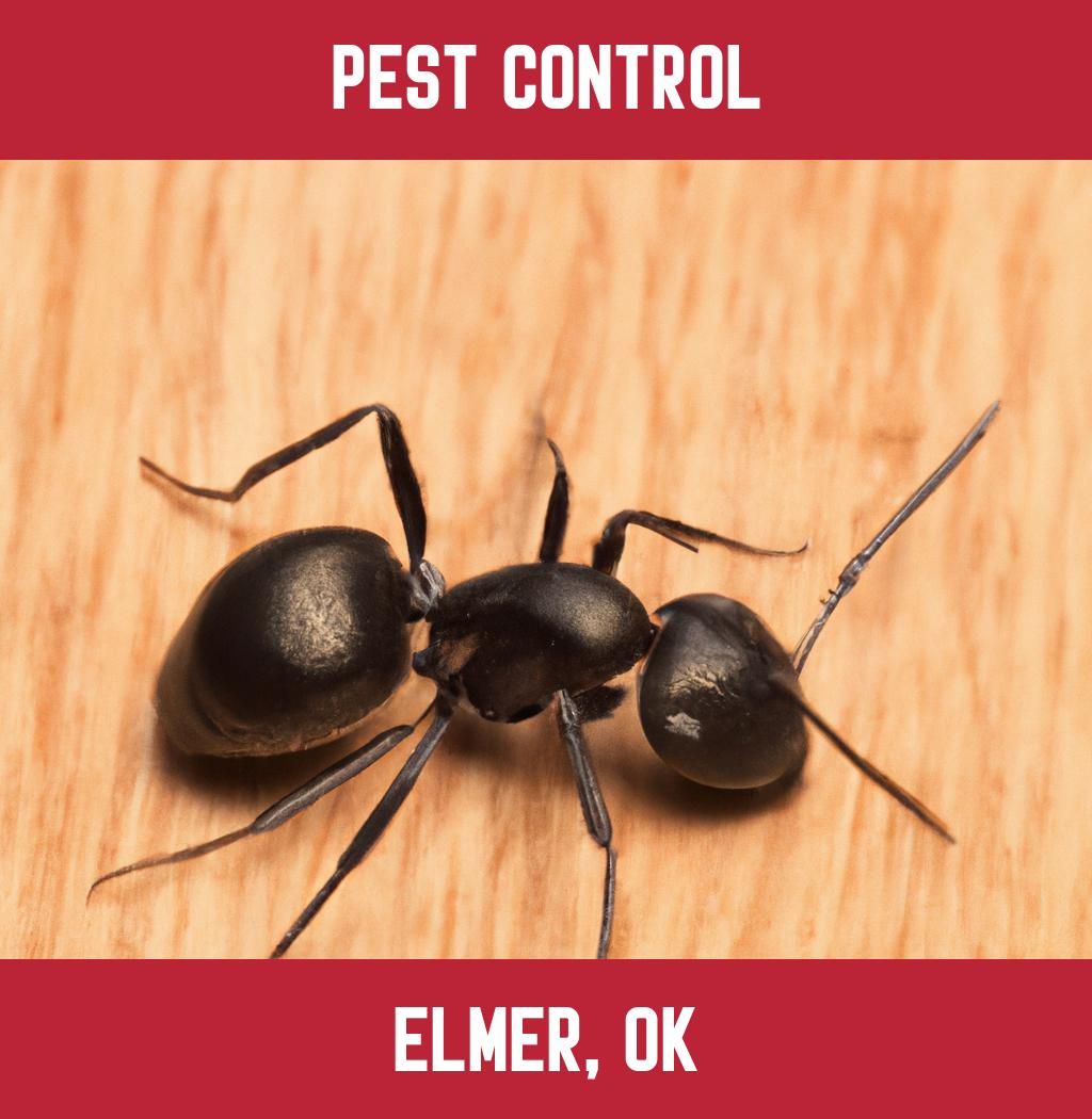 pest control in Elmer Oklahoma