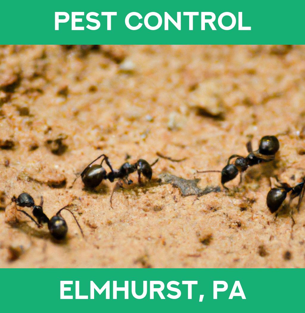 pest control in Elmhurst Pennsylvania