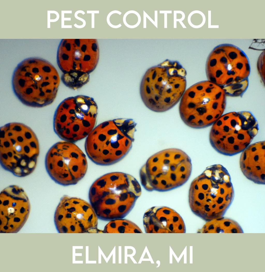 pest control in Elmira Michigan