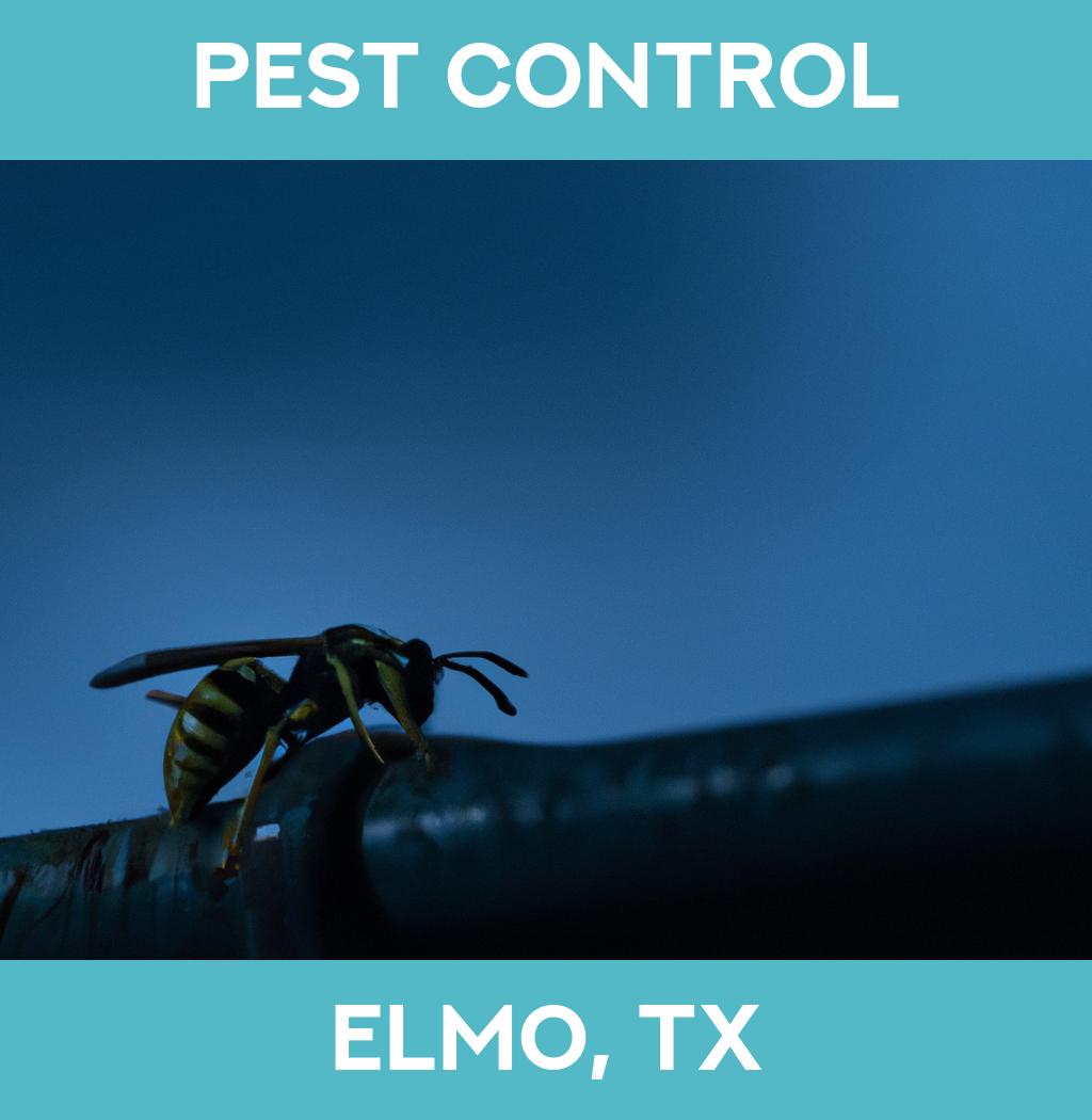 pest control in Elmo Texas