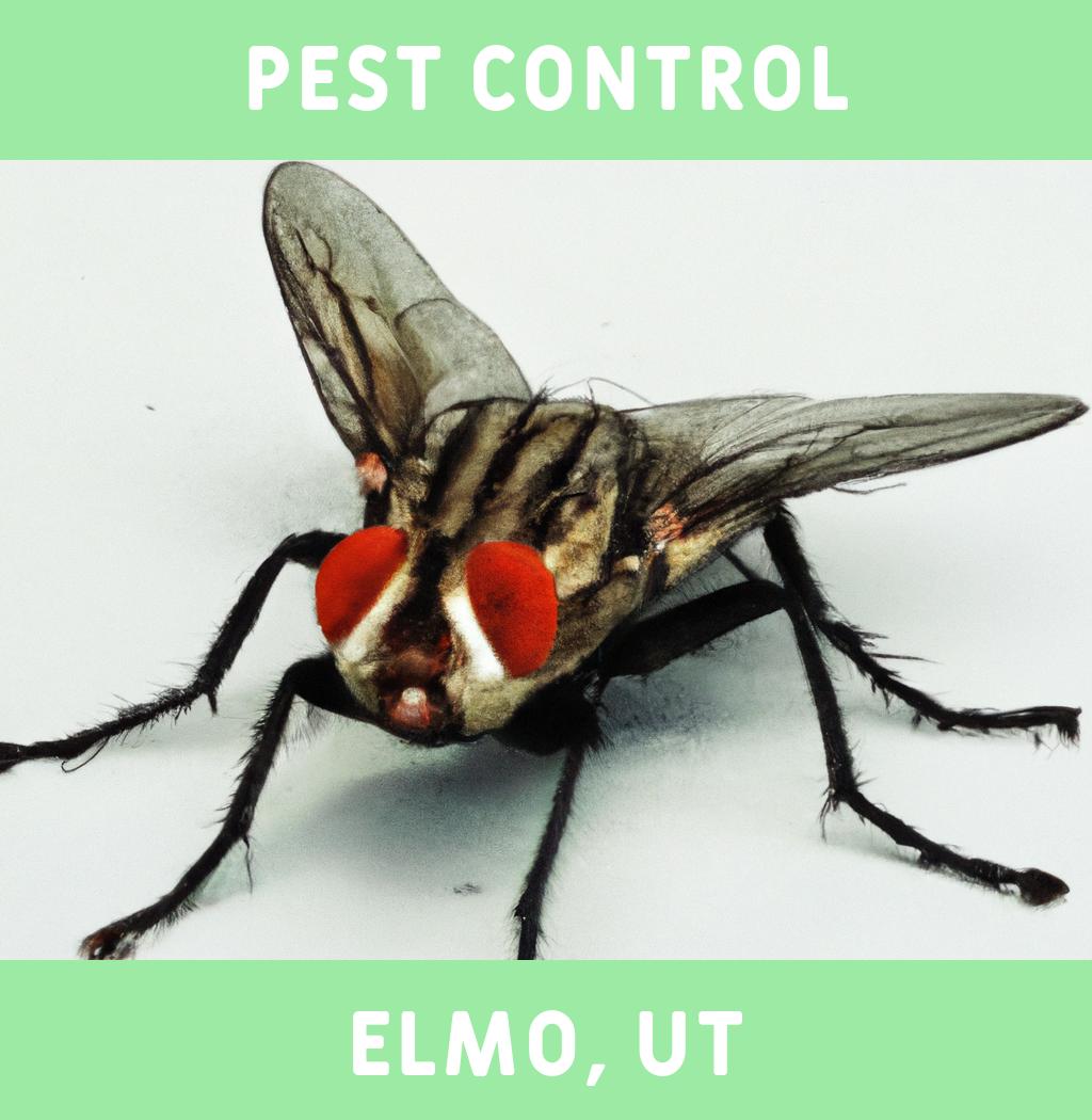 pest control in Elmo Utah