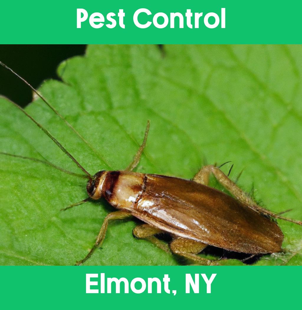 pest control in Elmont New York