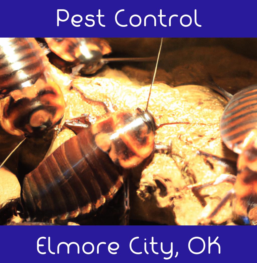 pest control in Elmore City Oklahoma