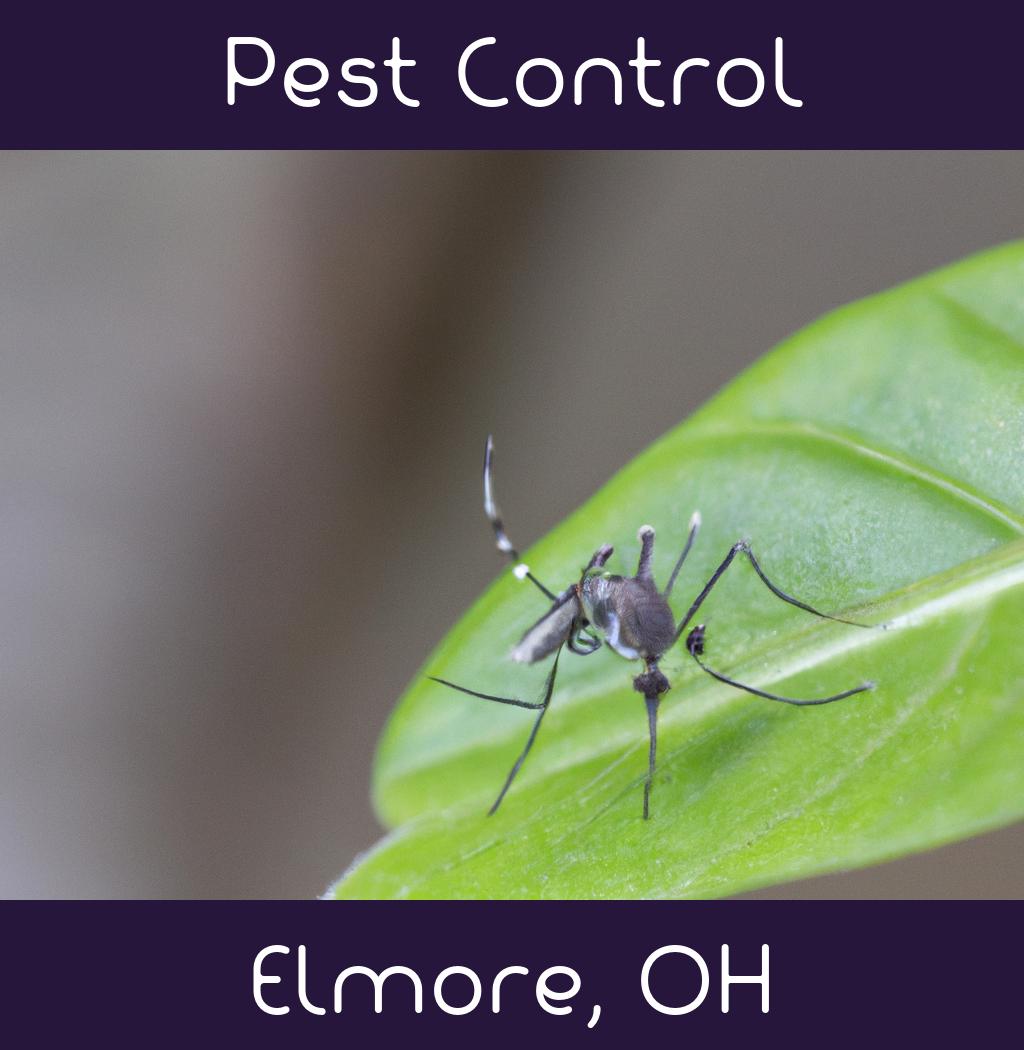 pest control in Elmore Ohio