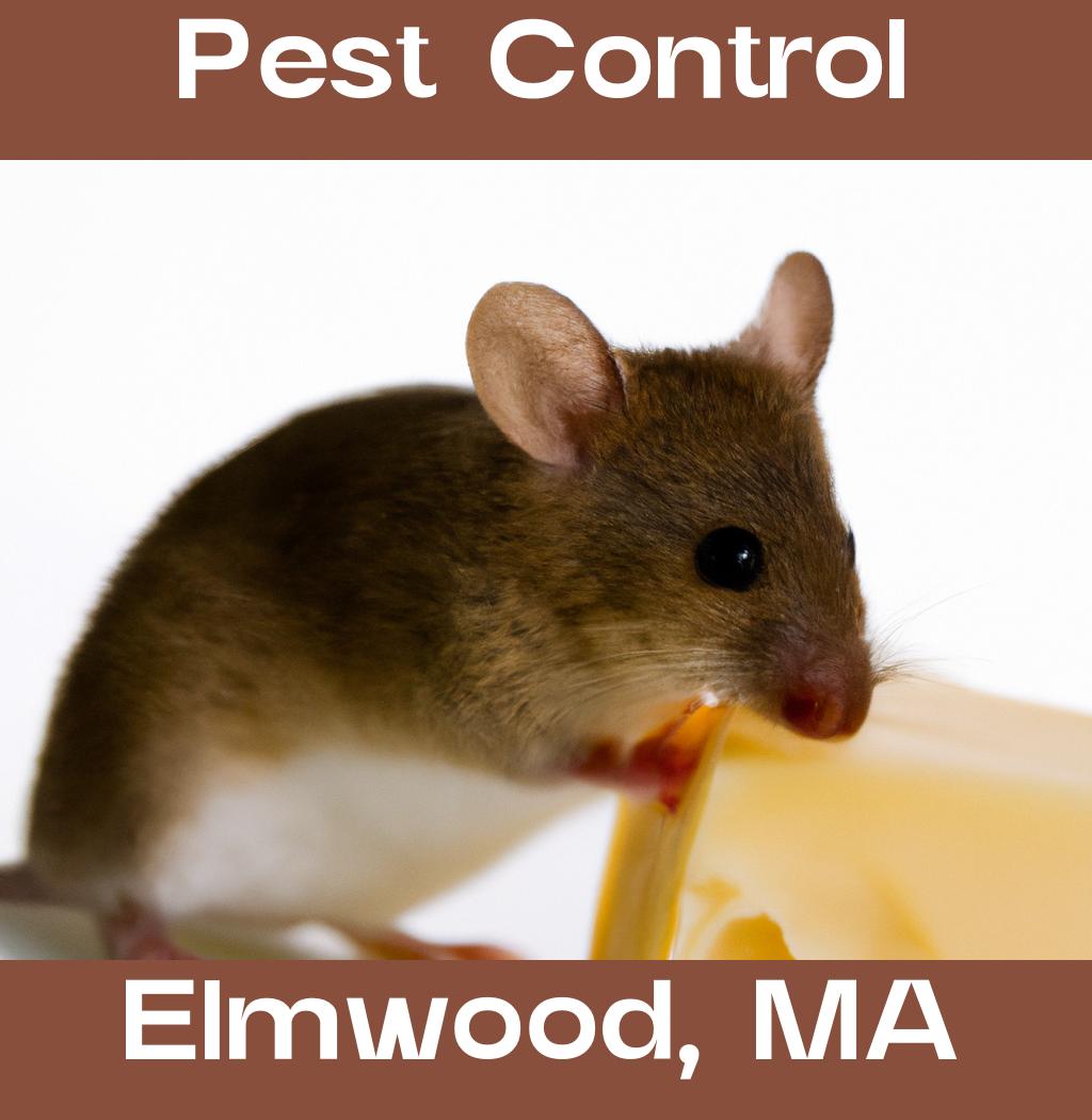 pest control in Elmwood Massachusetts