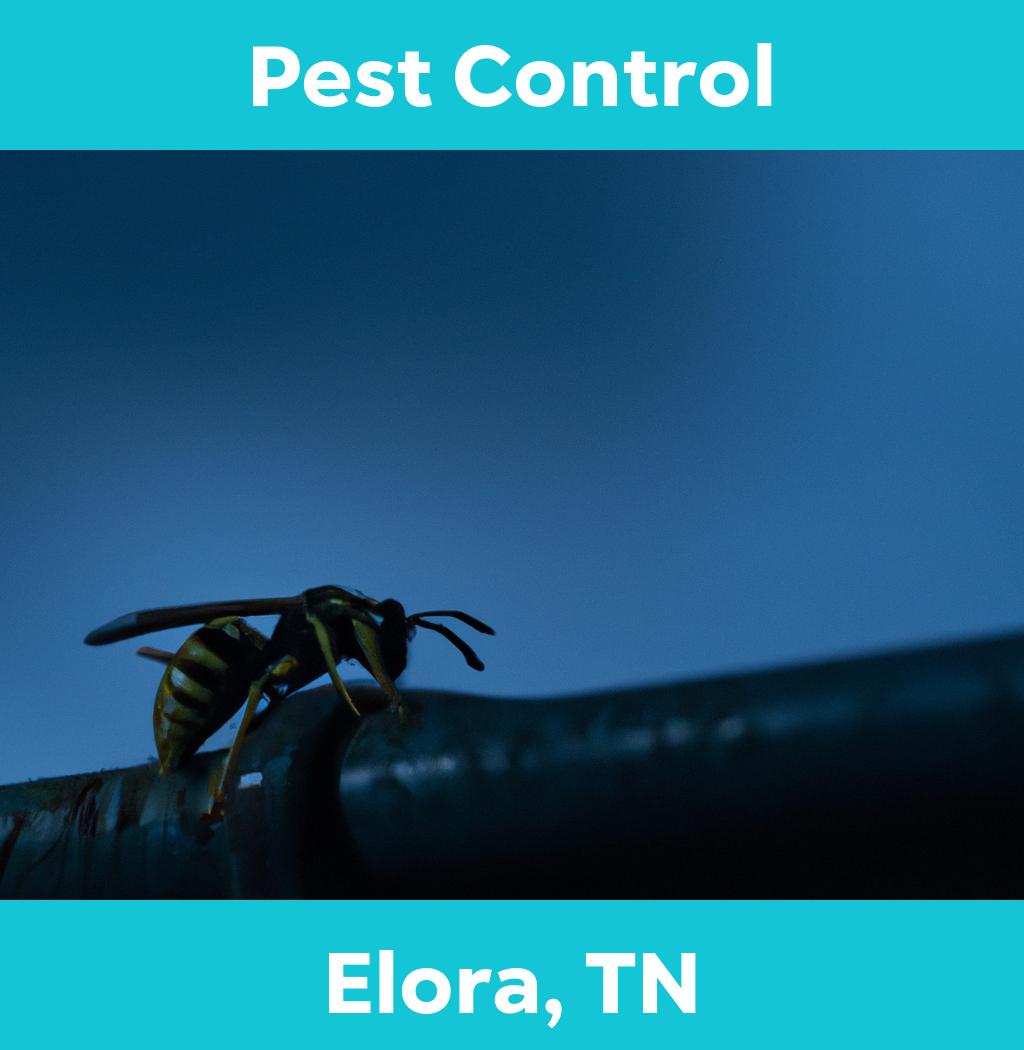 pest control in Elora Tennessee