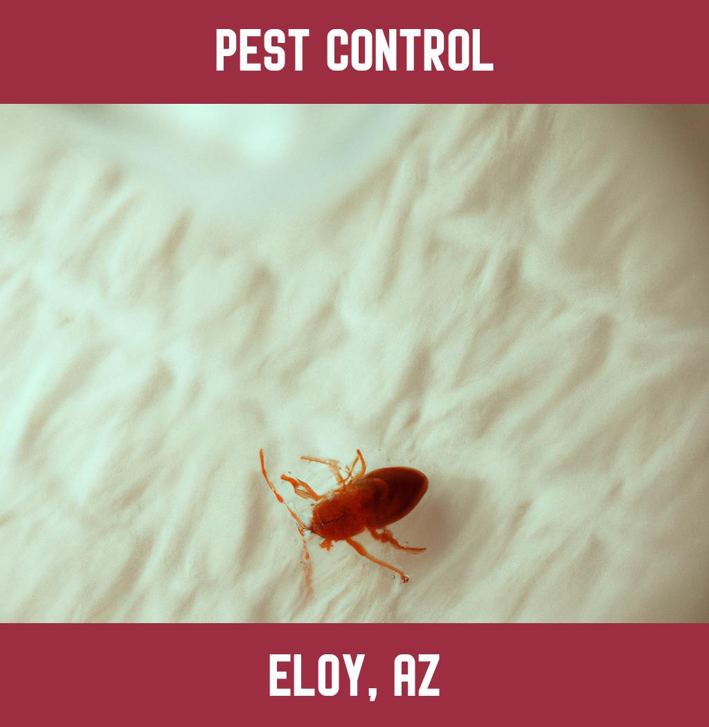 pest control in Eloy Arizona