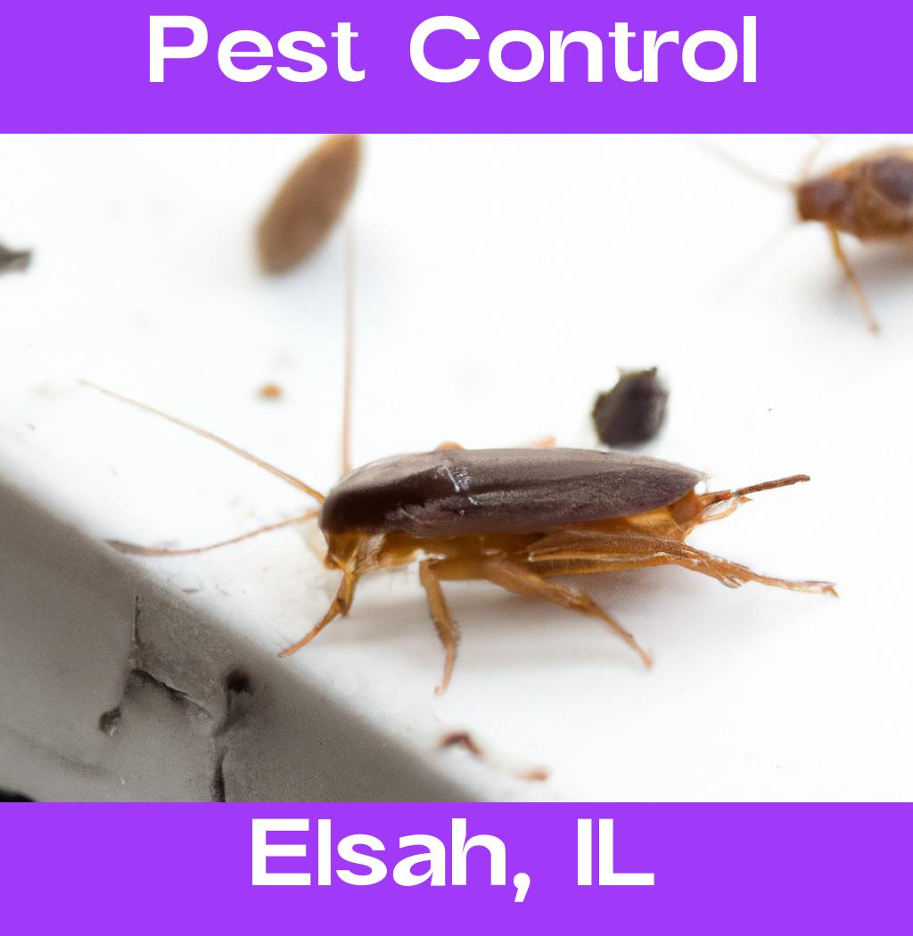 pest control in Elsah Illinois