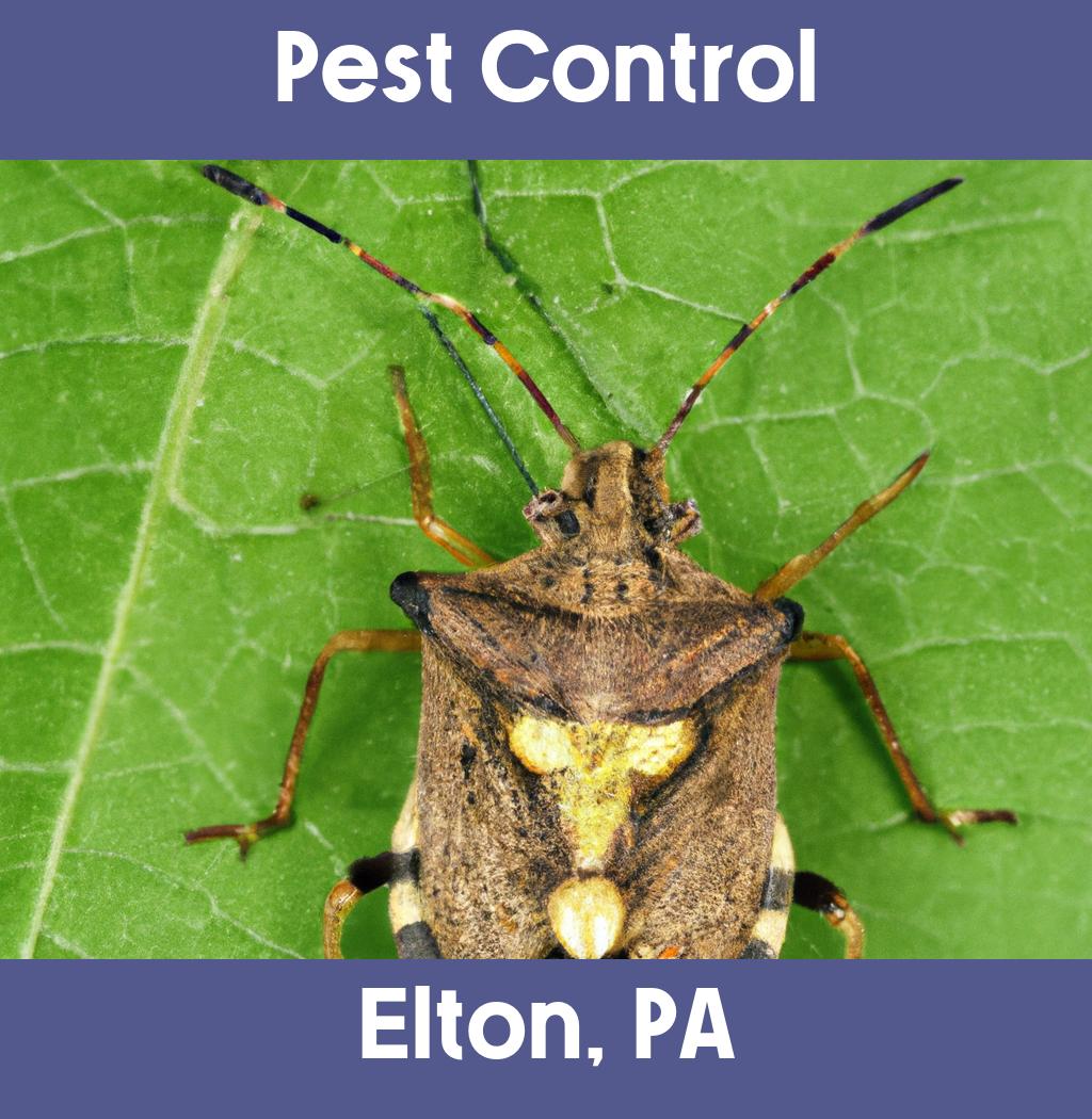 pest control in Elton Pennsylvania
