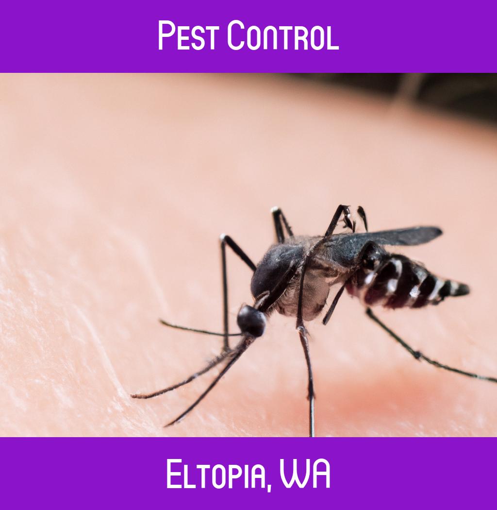 pest control in Eltopia Washington