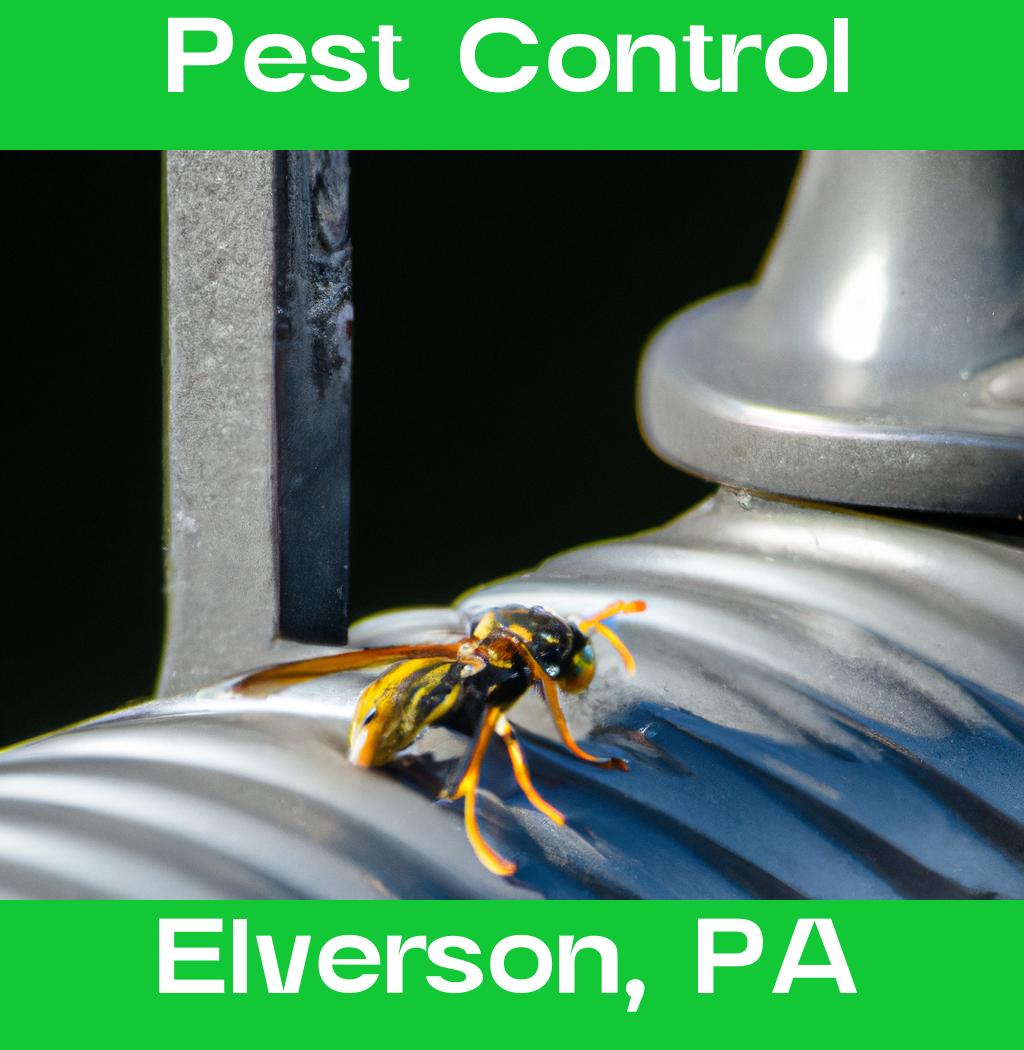 pest control in Elverson Pennsylvania