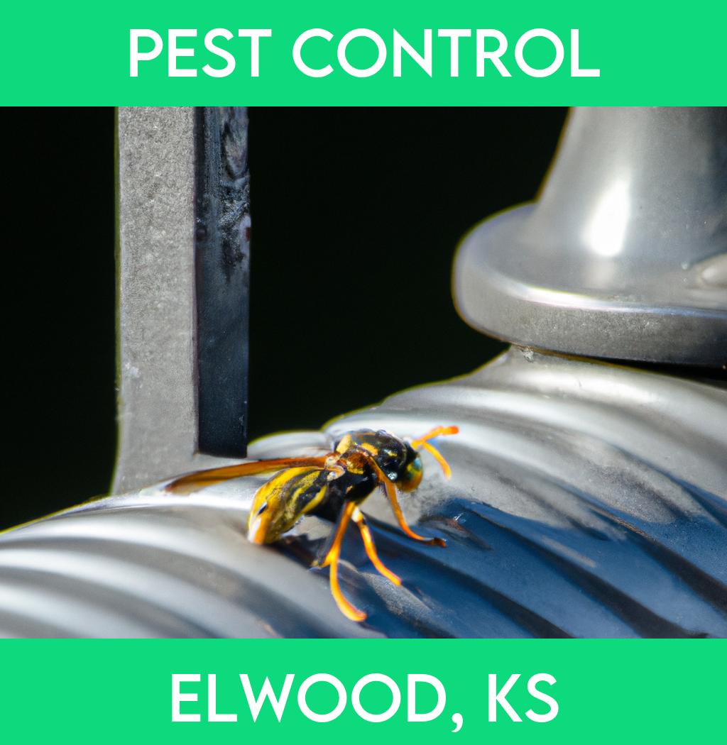 pest control in Elwood Kansas