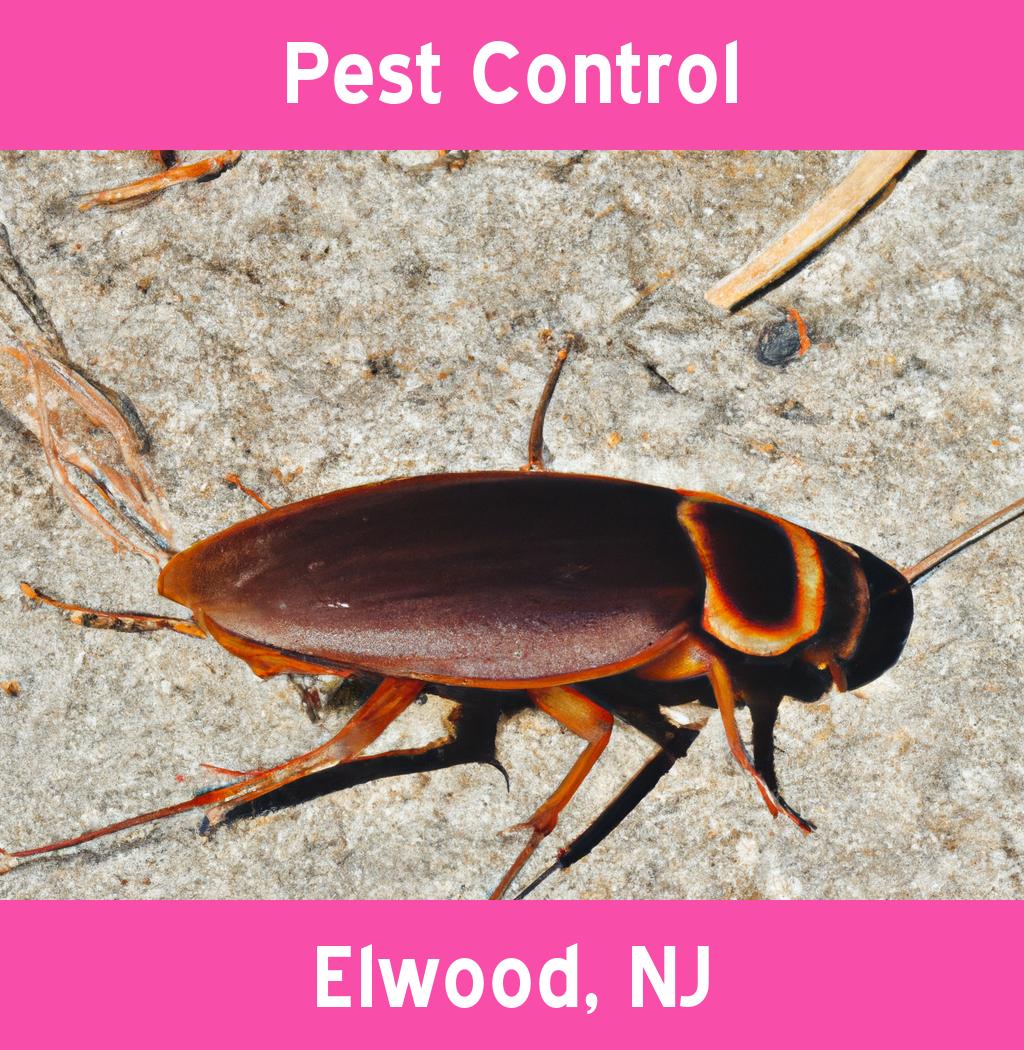 pest control in Elwood New Jersey