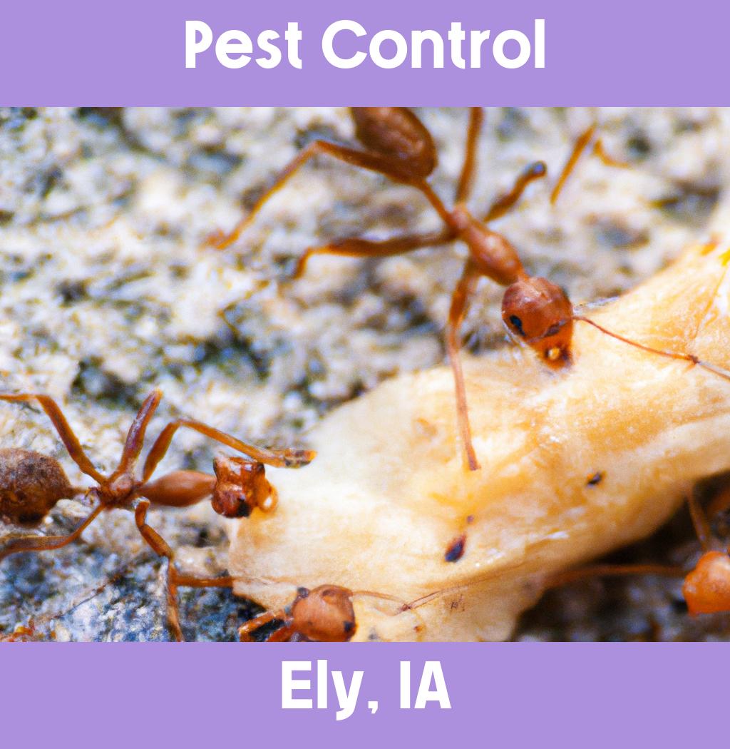 pest control in Ely Iowa