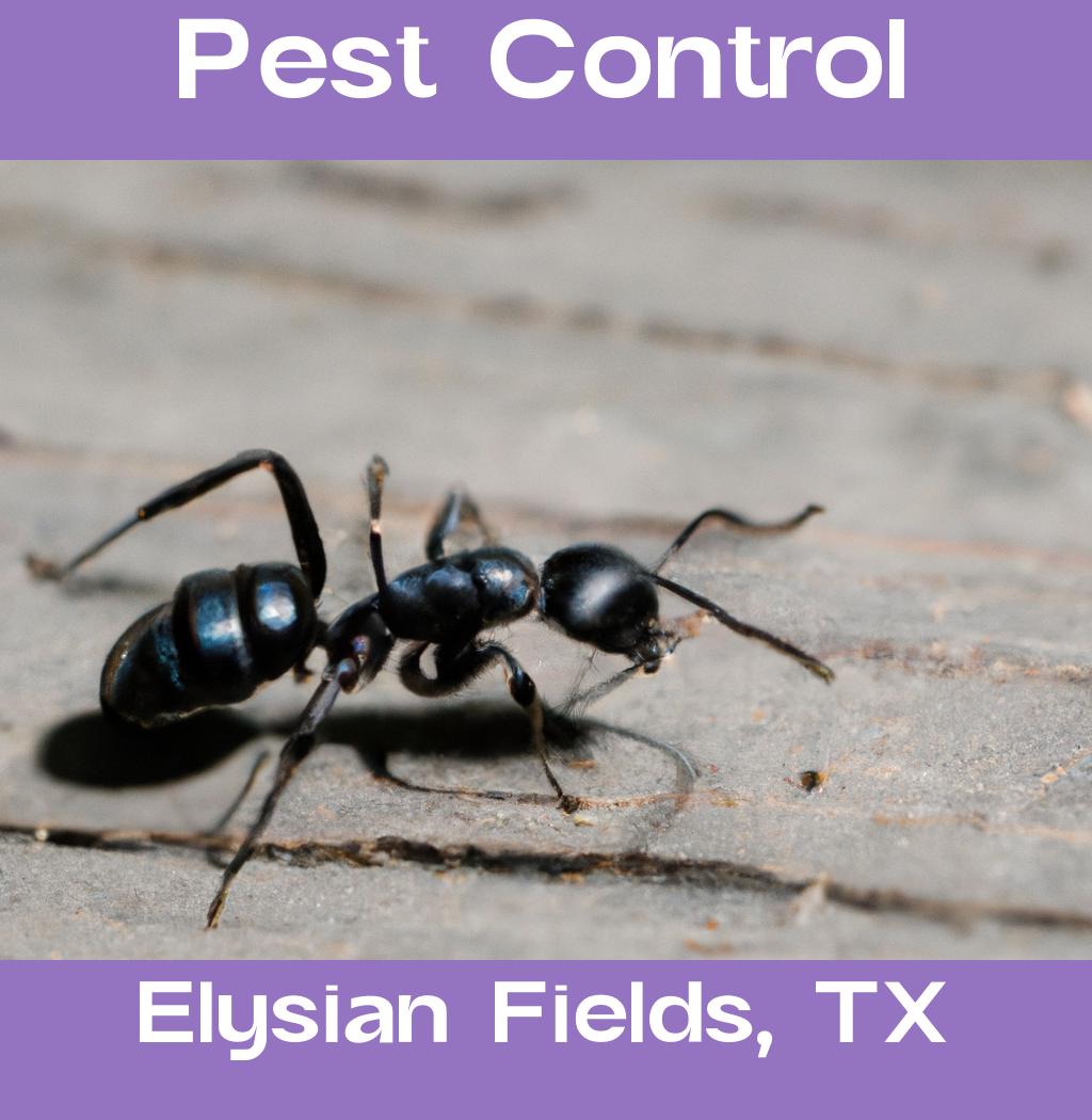 pest control in Elysian Fields Texas