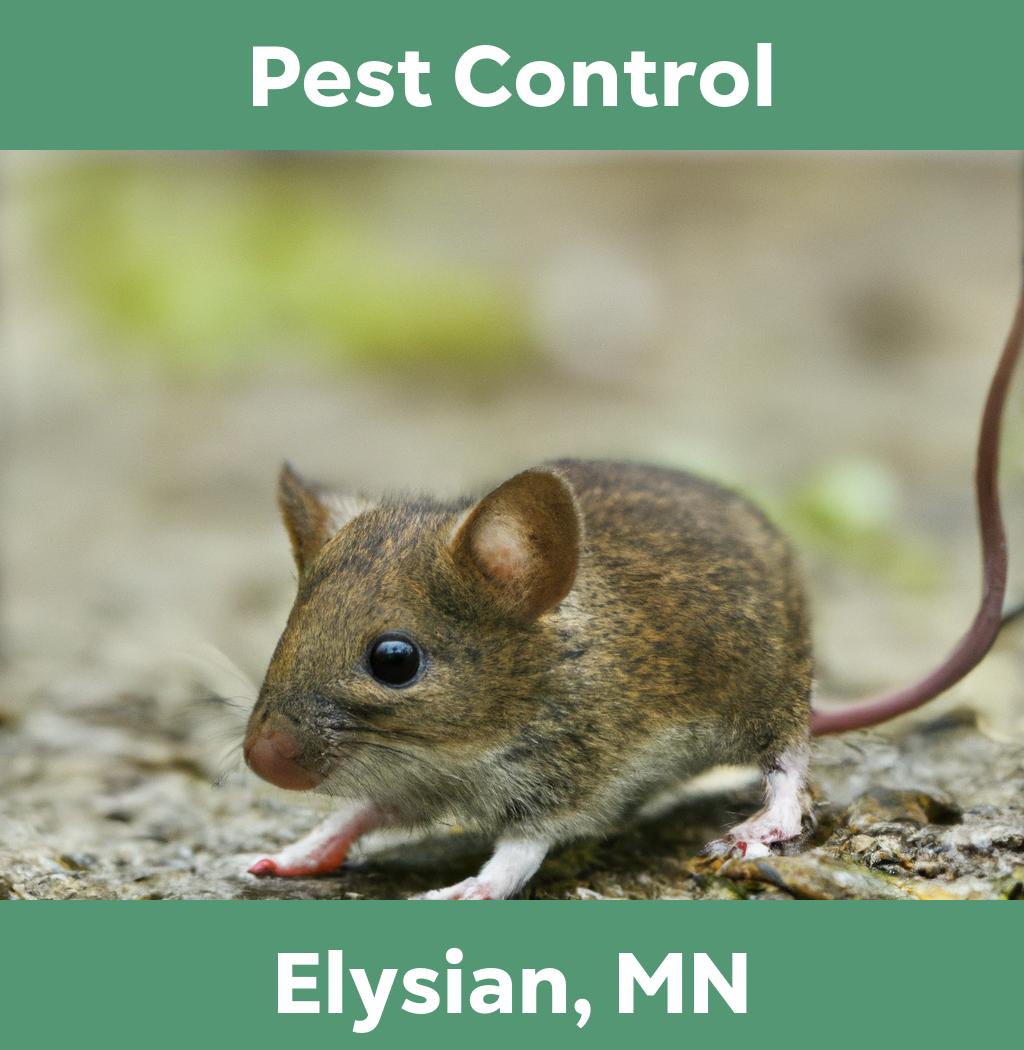 pest control in Elysian Minnesota