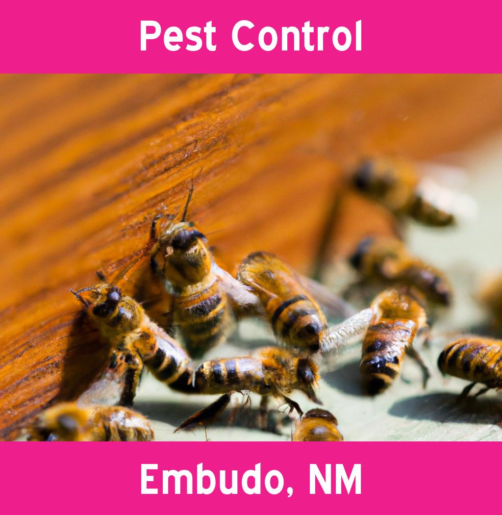 pest control in Embudo New Mexico