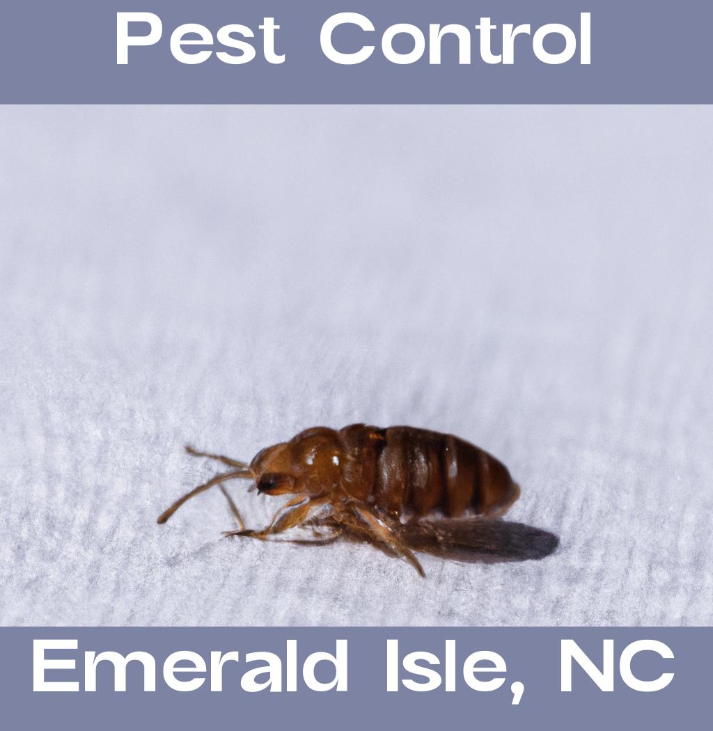 pest control in Emerald Isle North Carolina