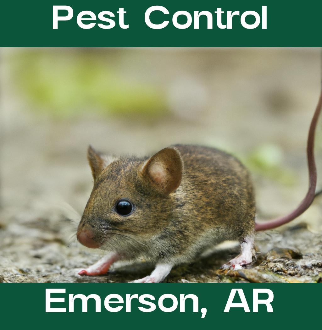 pest control in Emerson Arkansas