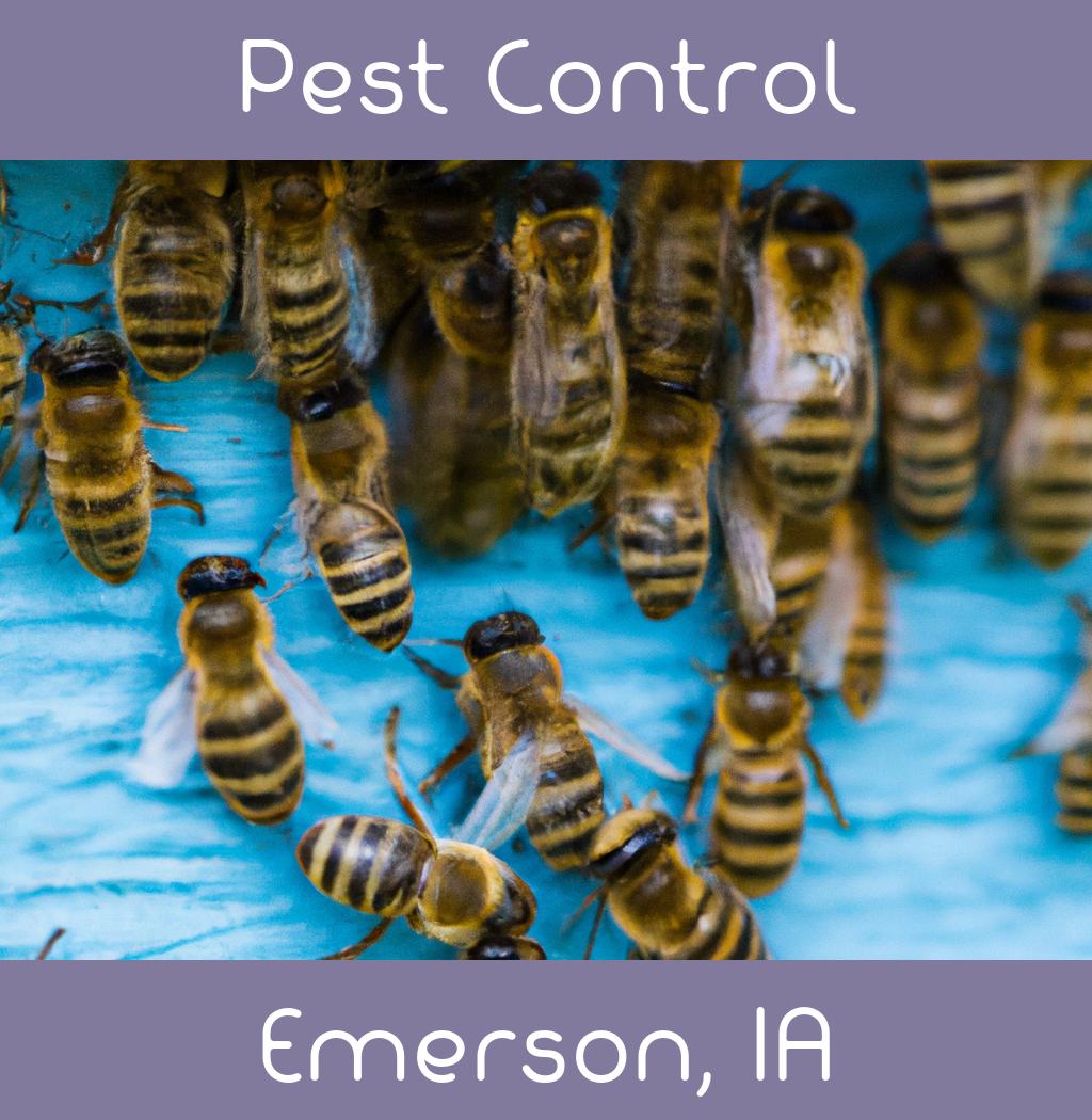 pest control in Emerson Iowa