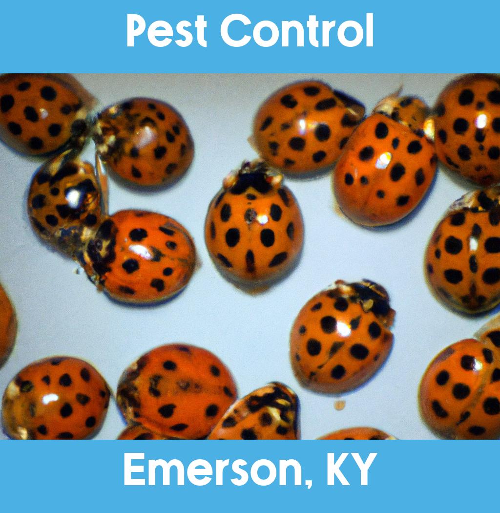 pest control in Emerson Kentucky