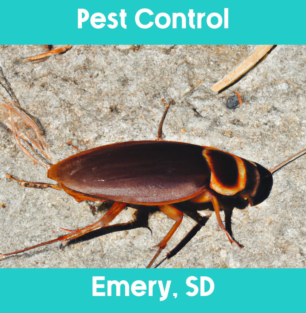 pest control in Emery South Dakota