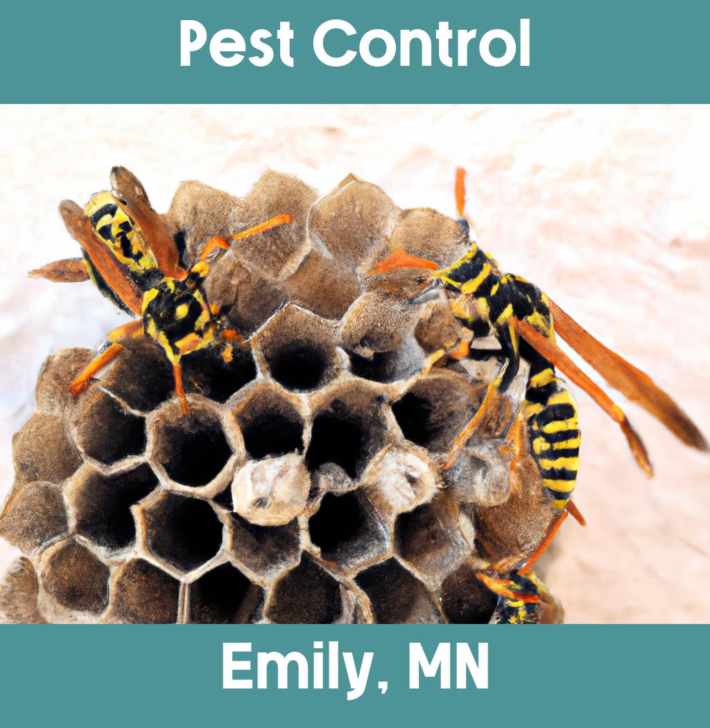 pest control in Emily Minnesota