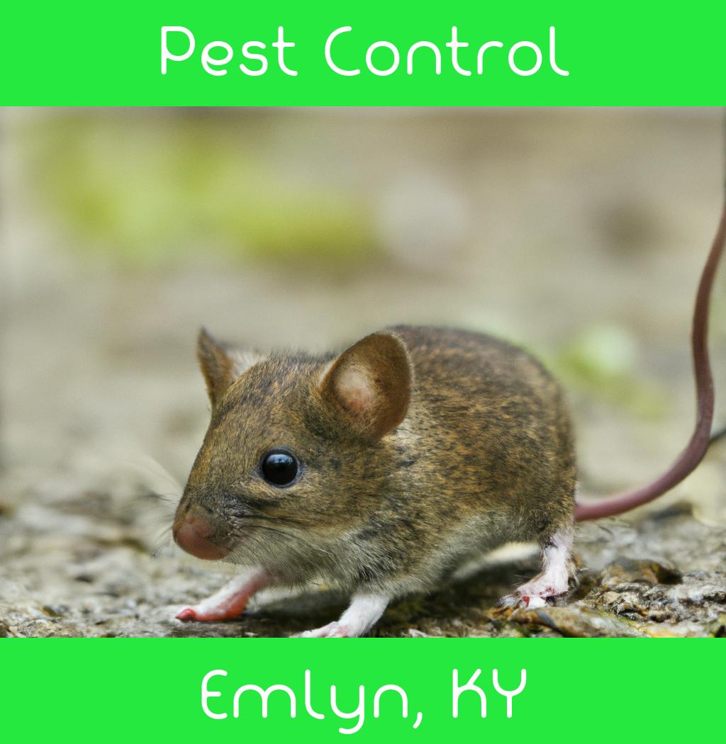 pest control in Emlyn Kentucky