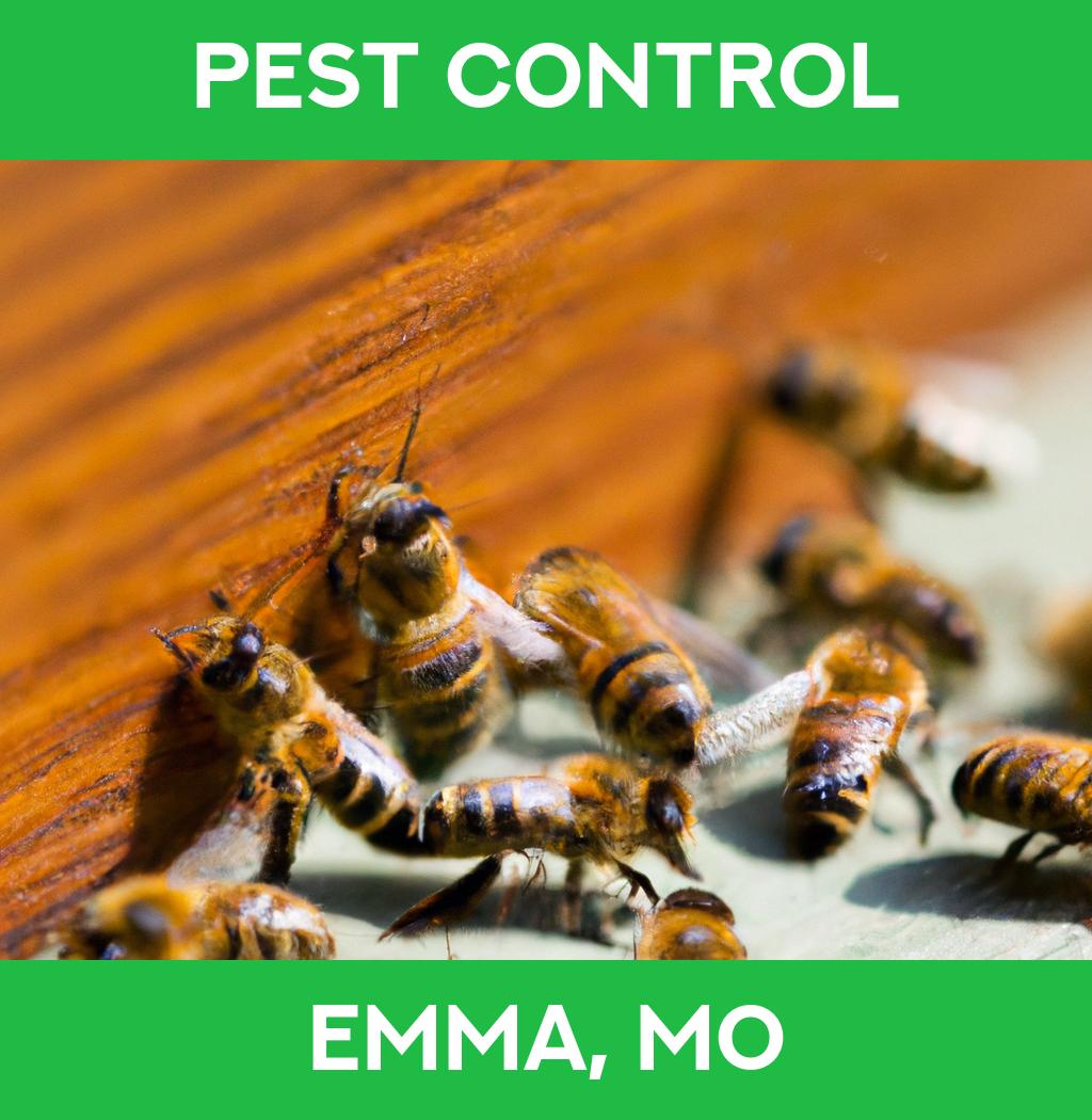 pest control in Emma Missouri