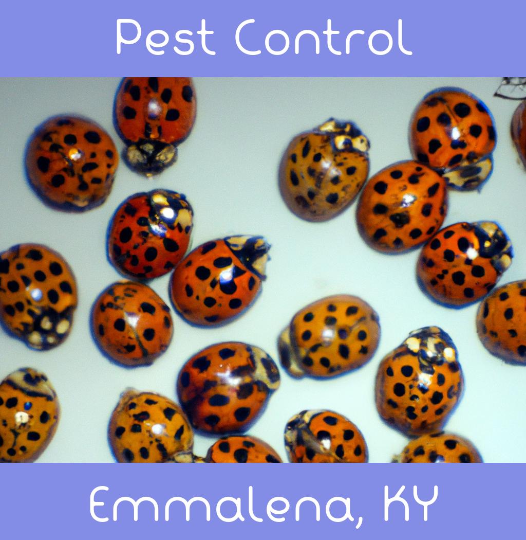 pest control in Emmalena Kentucky