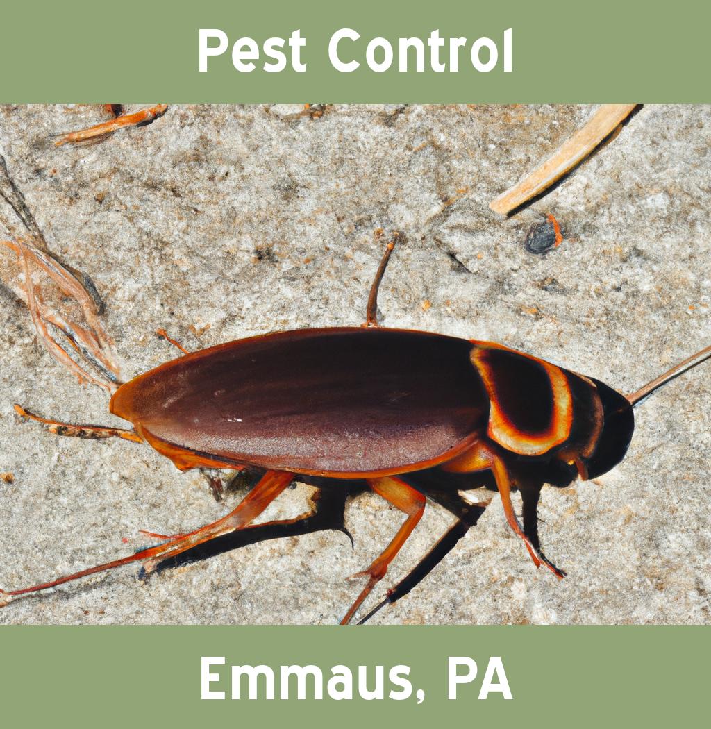 pest control in Emmaus Pennsylvania