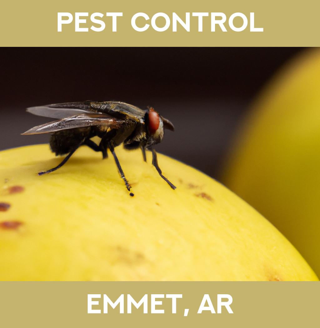 pest control in Emmet Arkansas