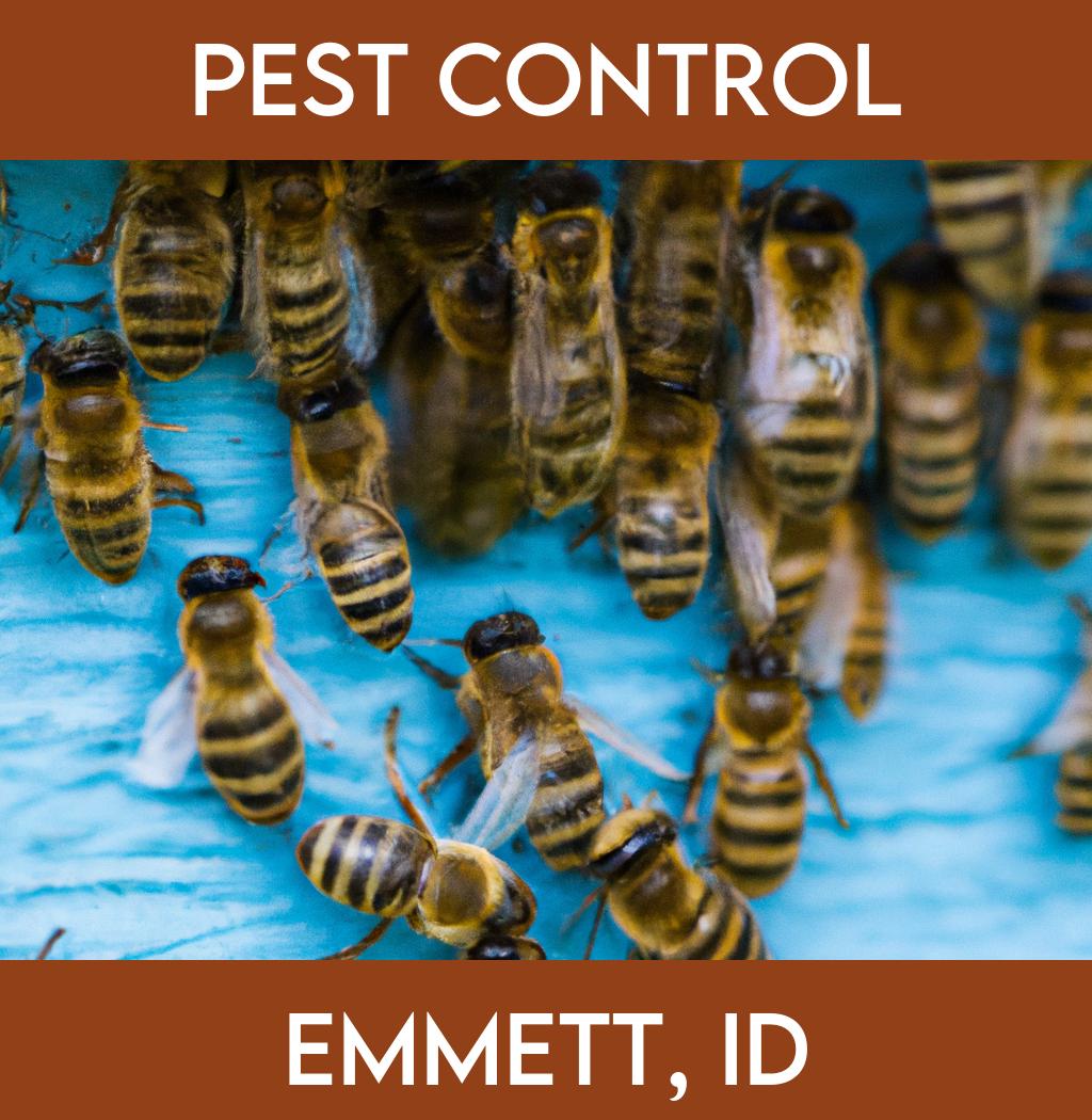 pest control in Emmett Idaho