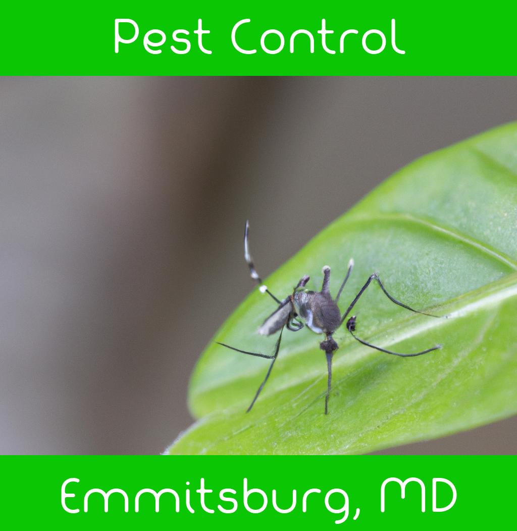 pest control in Emmitsburg Maryland
