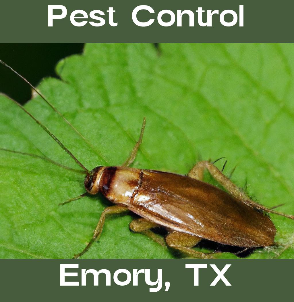 pest control in Emory Texas