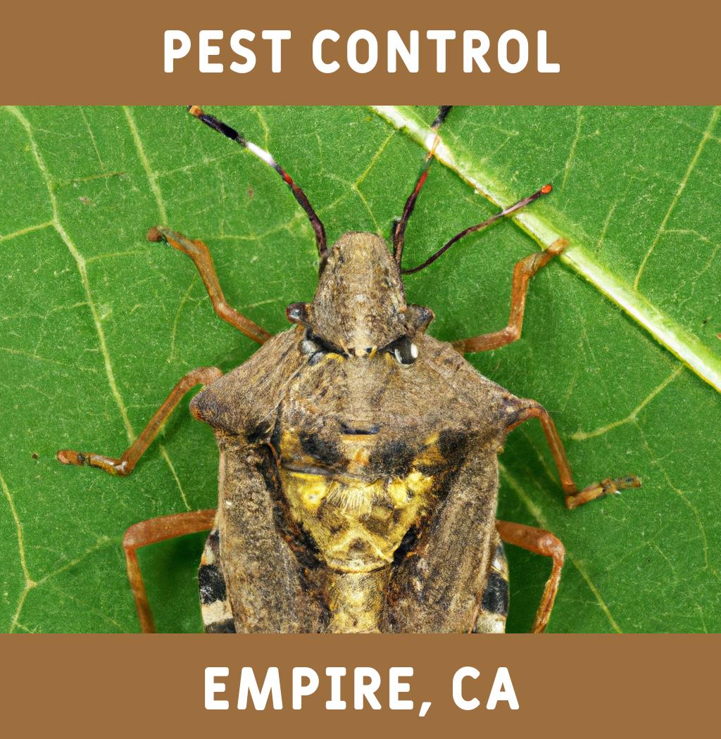 pest control in Empire California