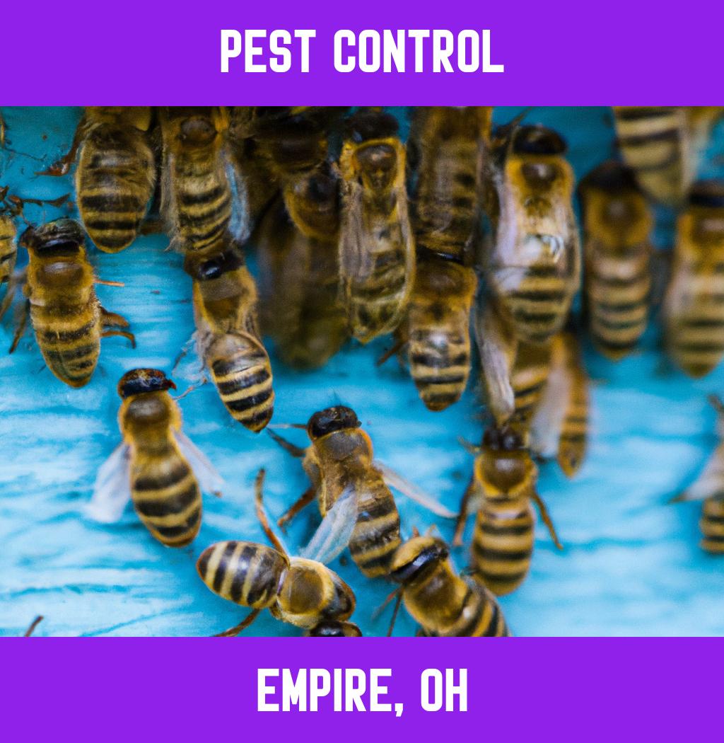 pest control in Empire Ohio
