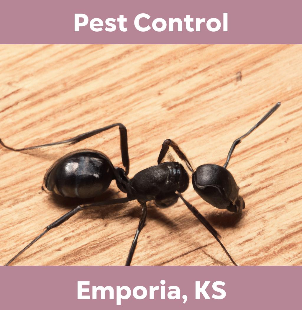 pest control in Emporia Kansas