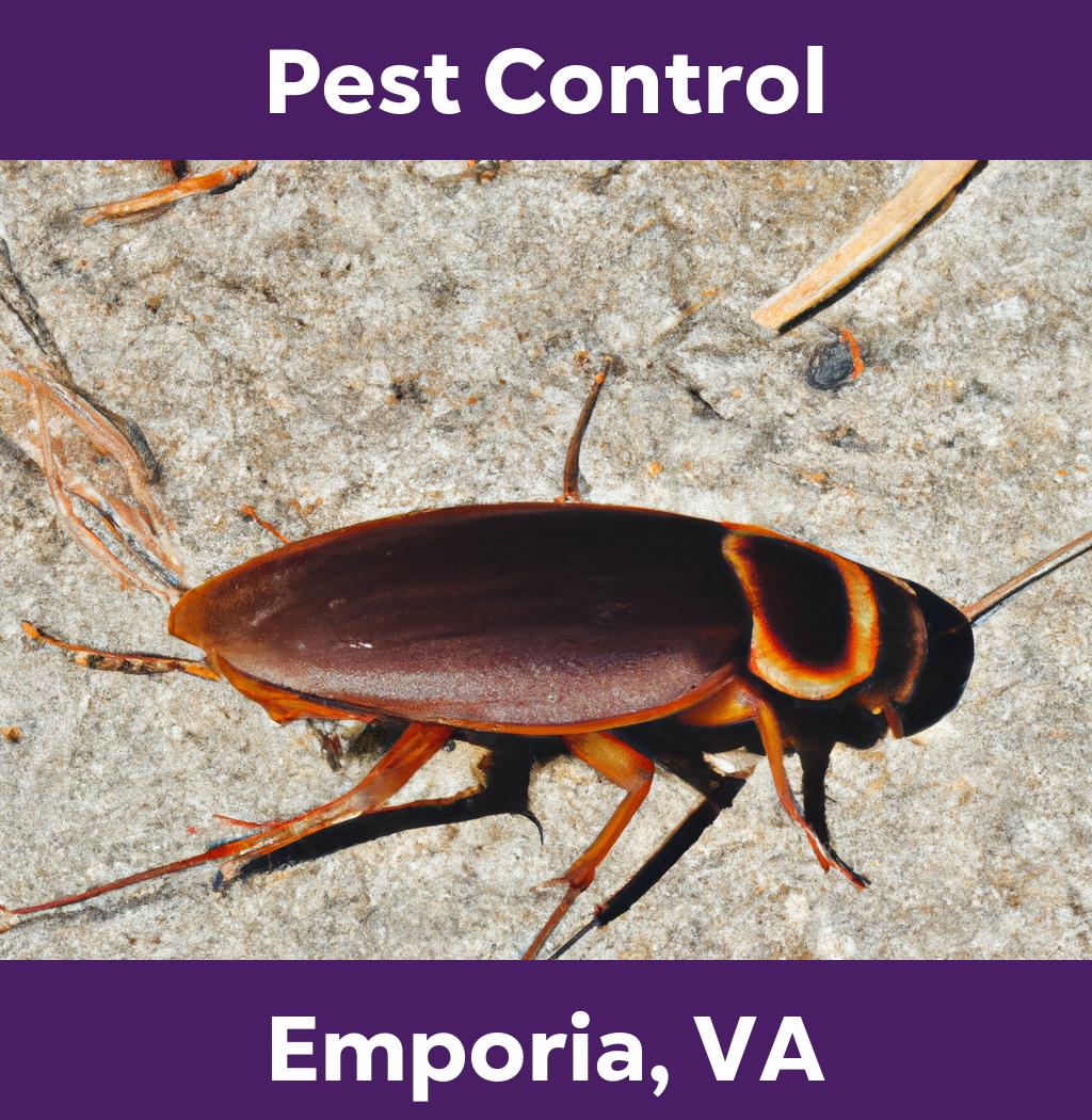 pest control in Emporia Virginia